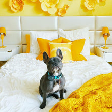 Load image into Gallery viewer, Adelaine Morin 'Girls Supporting Girls' Pillow