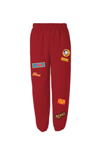 Load image into Gallery viewer, FALSE