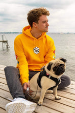 Load image into Gallery viewer, FALSE