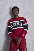 Load image into Gallery viewer, David Dobrik Campus Clickbait Sweater